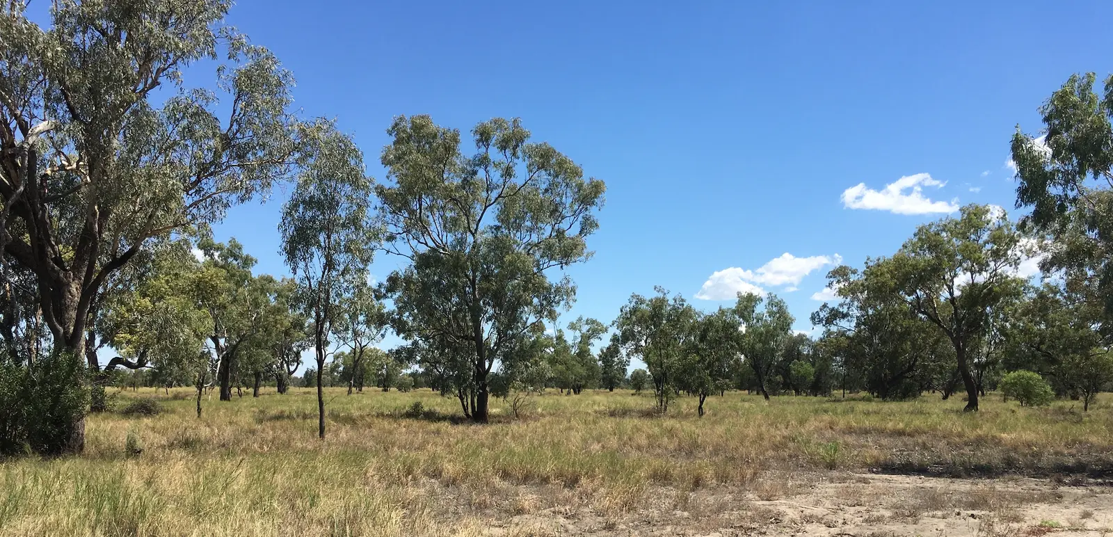 Lot L030 — Land